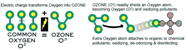 Ozone